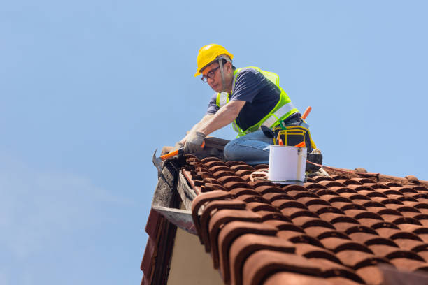 Fast & Reliable Emergency Roof Repairs in Ampere North, NJ